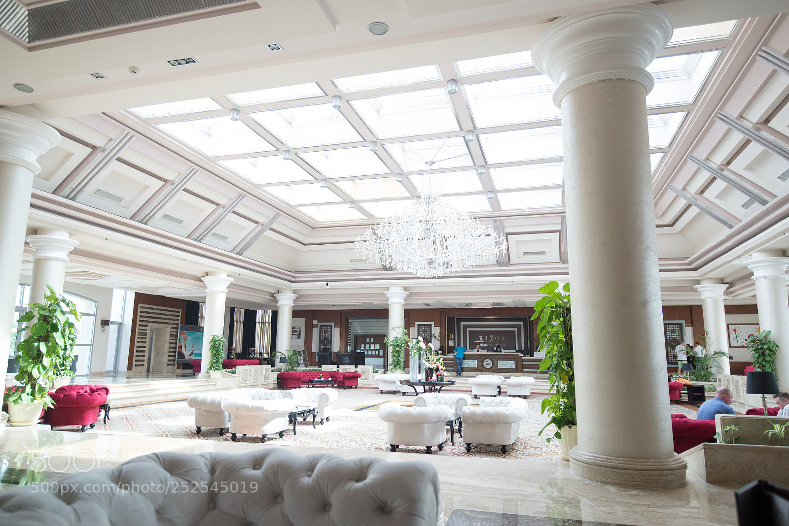 Nikon D600 sample photo. Свет photography