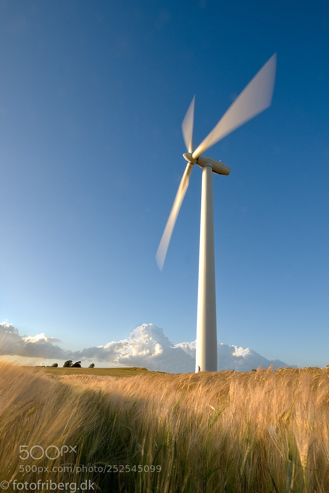 Nikon D200 sample photo. Windpower ii photography