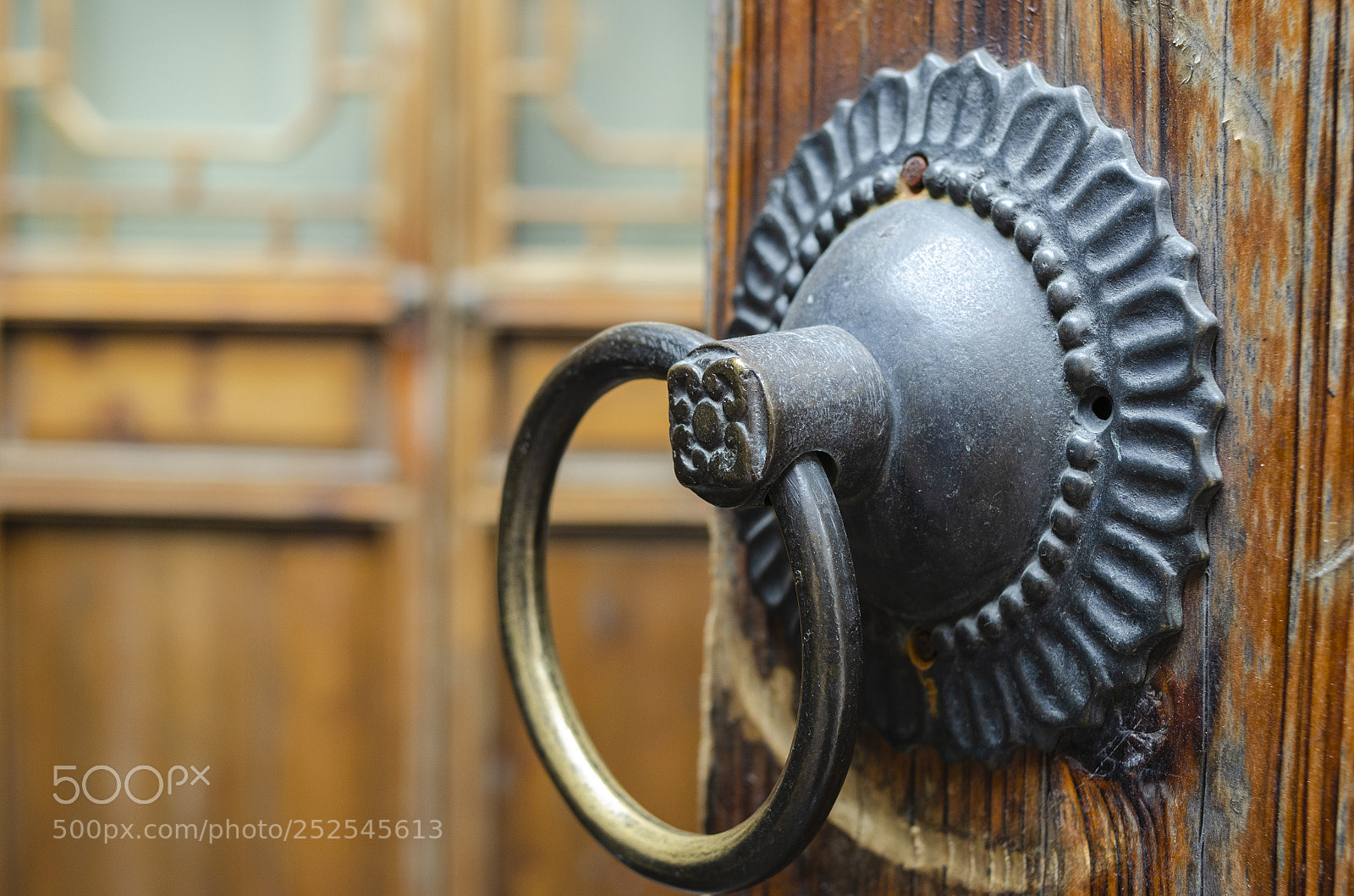 Nikon D7000 sample photo. 00000190.jpg photography