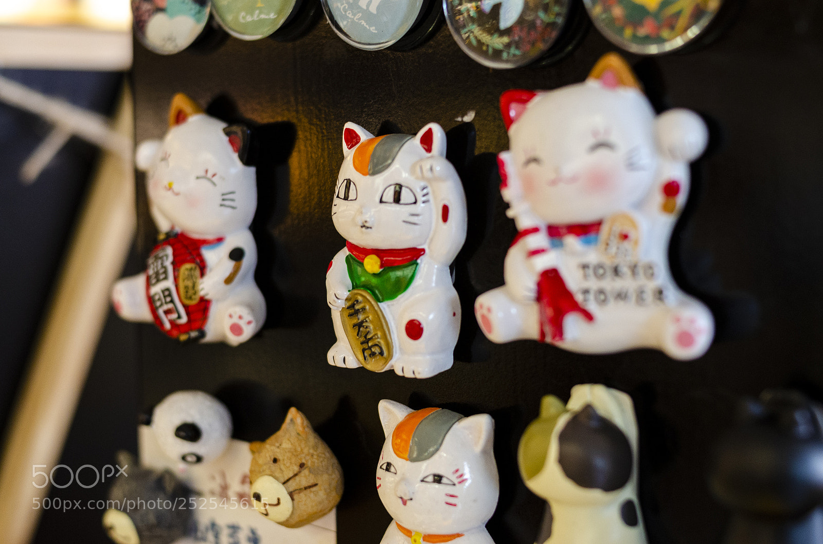 Nikon D7000 sample photo. 00000194.jpg photography