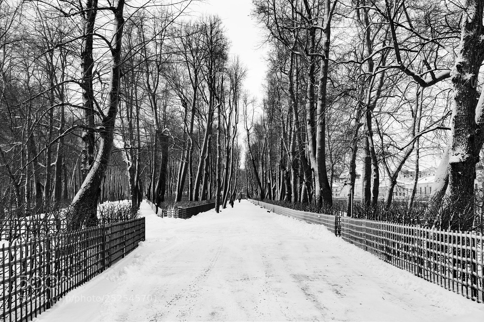 Sony a7R II sample photo. Saint petersburg (alley). photography