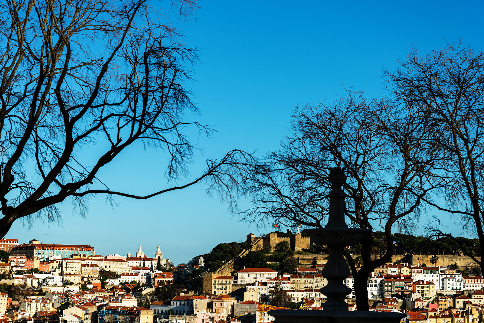 Nikon D800 sample photo. Beautiful street view of photography