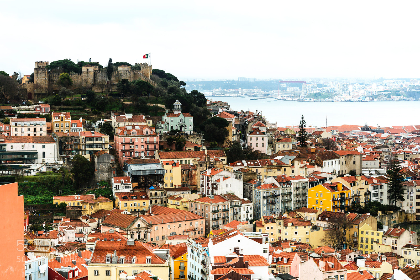 Nikon D800 sample photo. View of downtown in photography