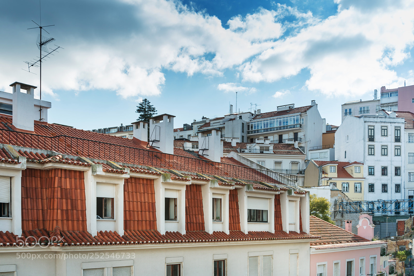 Nikon D800 sample photo. Beautiful street view of photography