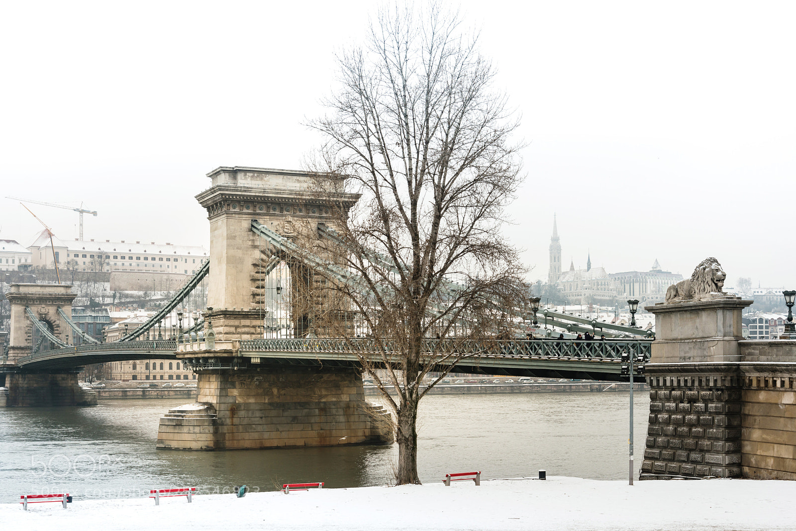 Nikon D800 sample photo. Sz chenyi chain bridge photography