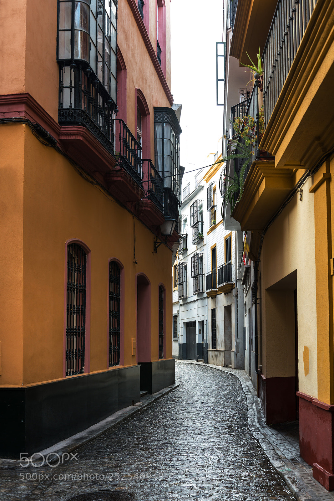 Nikon D800 sample photo. Antique building view in photography
