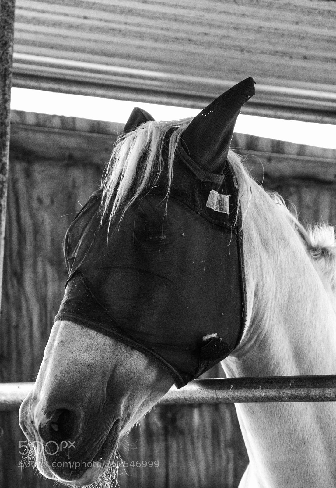 Nikon D7100 sample photo. Old guy photography
