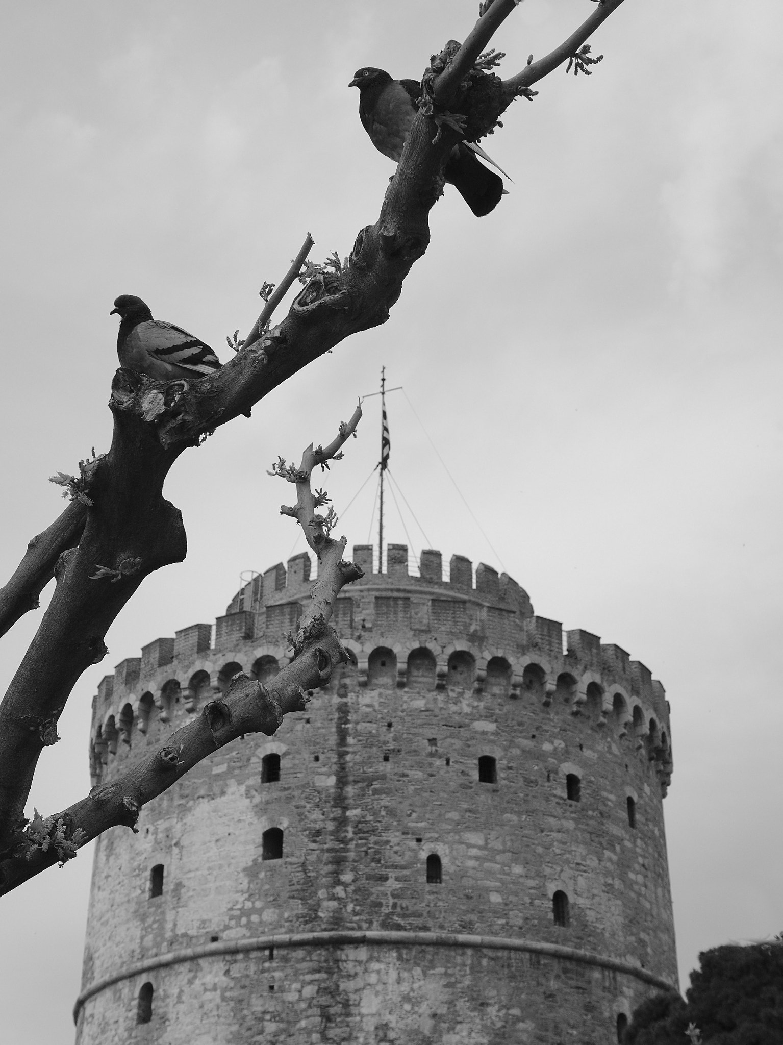 Olympus PEN E-PM2 sample photo. Tower and birds photography