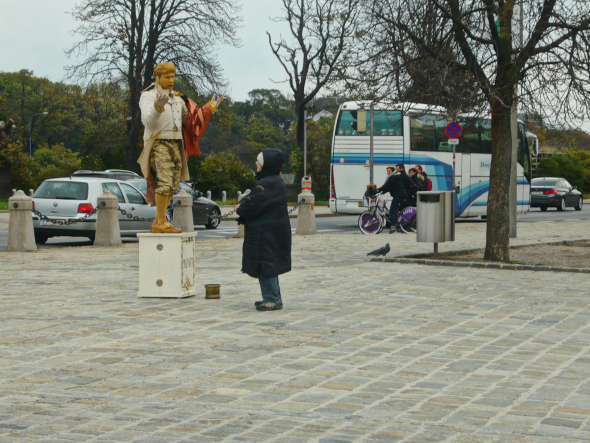 Panasonic Lumix DMC-LS80 sample photo. Autumn pictures of schonbrunn xvlll. photography