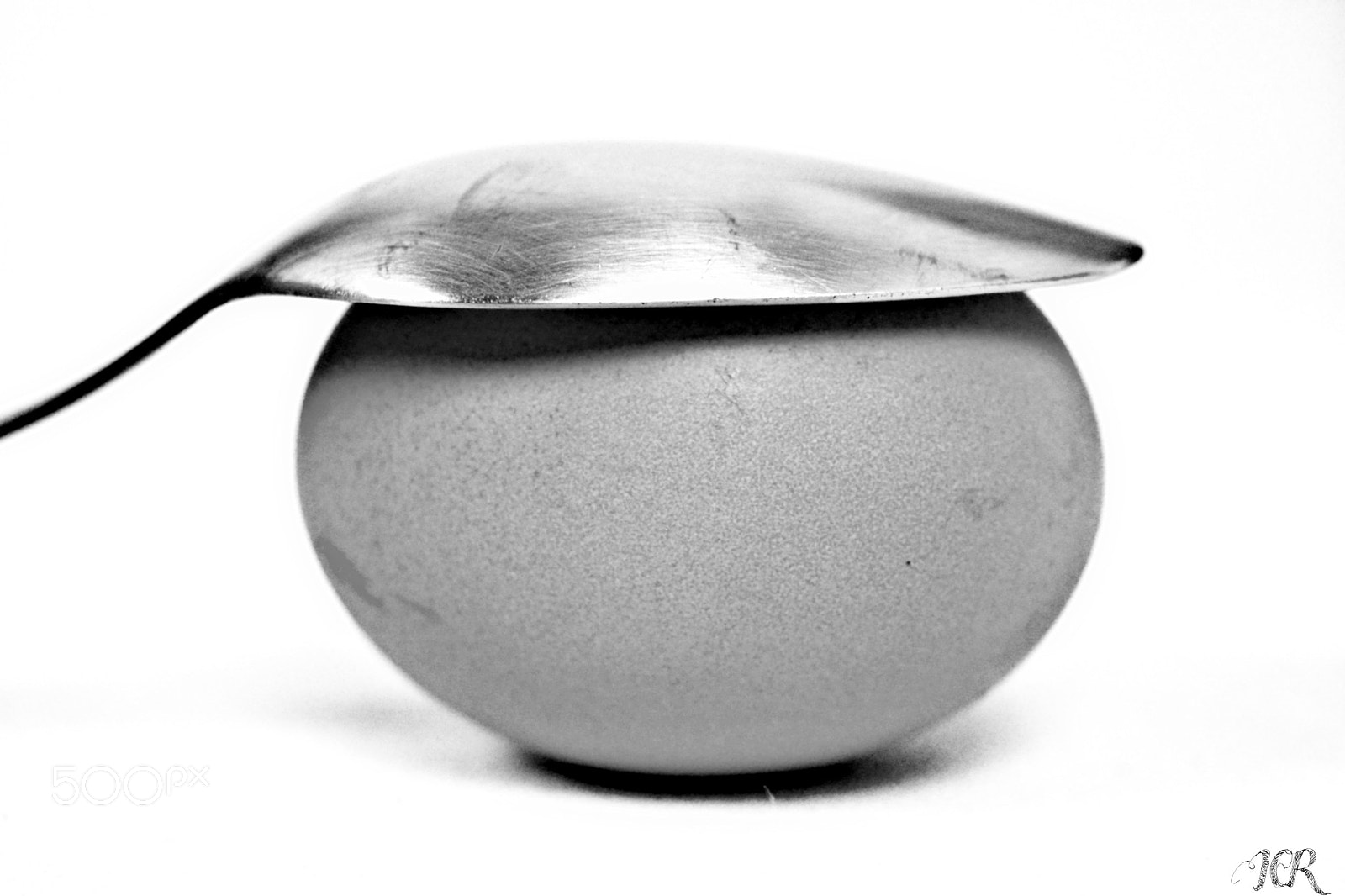 Nikon D5200 sample photo. Huevo blanco y negro photography