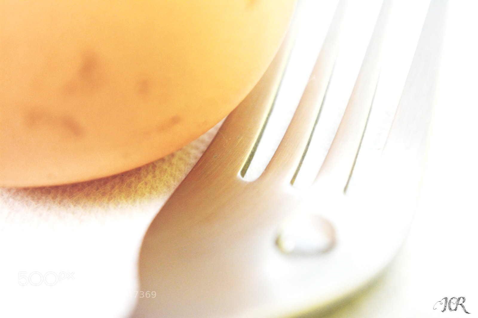 Nikon D5200 sample photo. Tenedor photography
