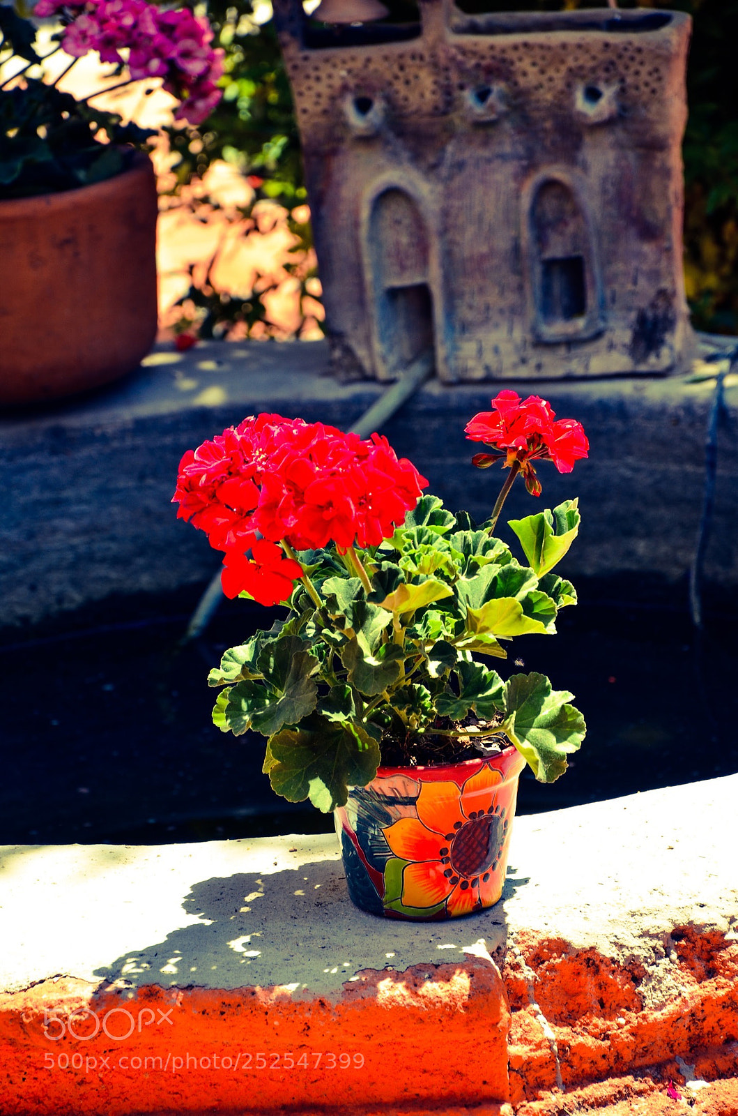 Nikon D7000 sample photo. Budding photography
