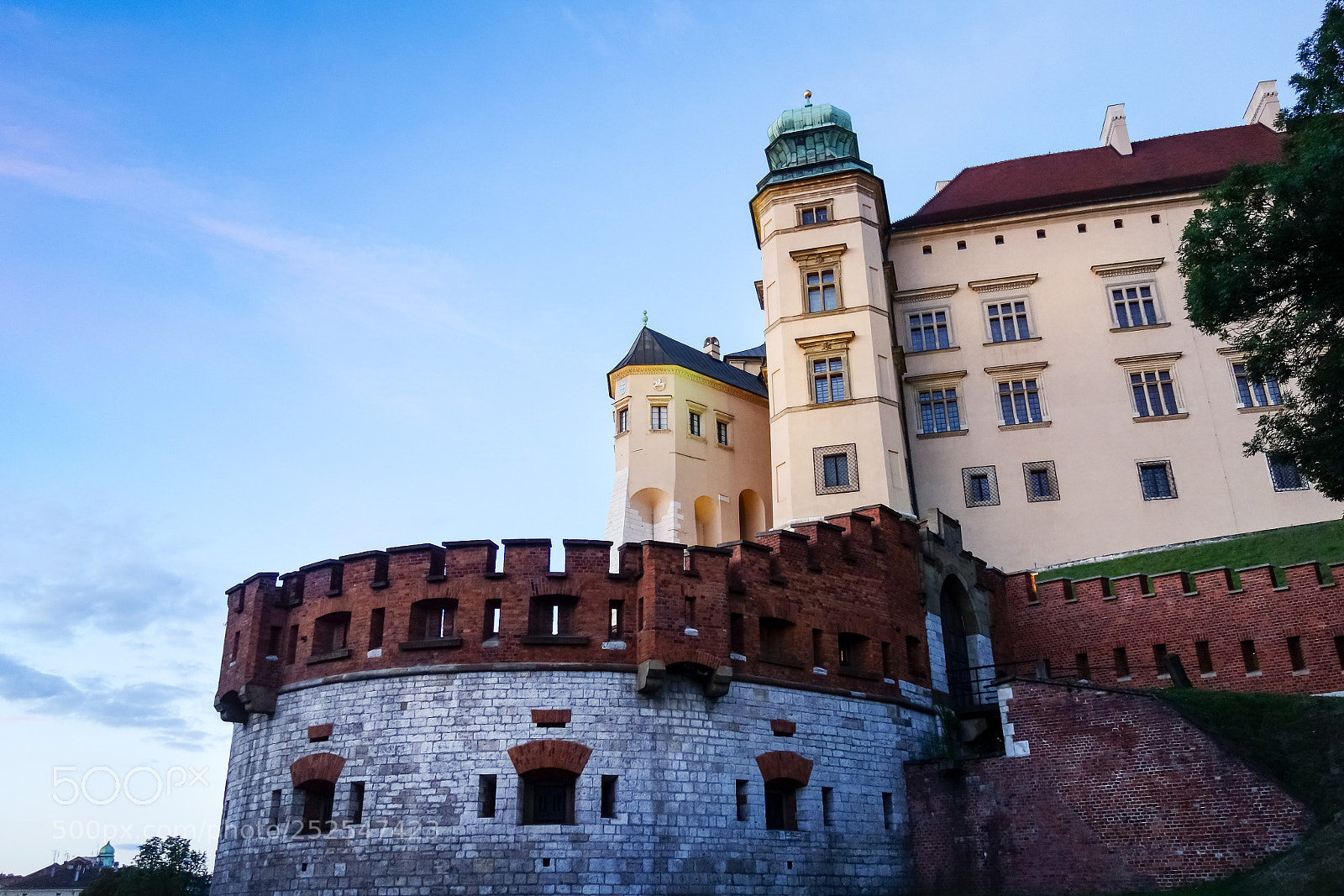 Sony Cyber-shot DSC-RX100 sample photo. Wawel royal castle in photography