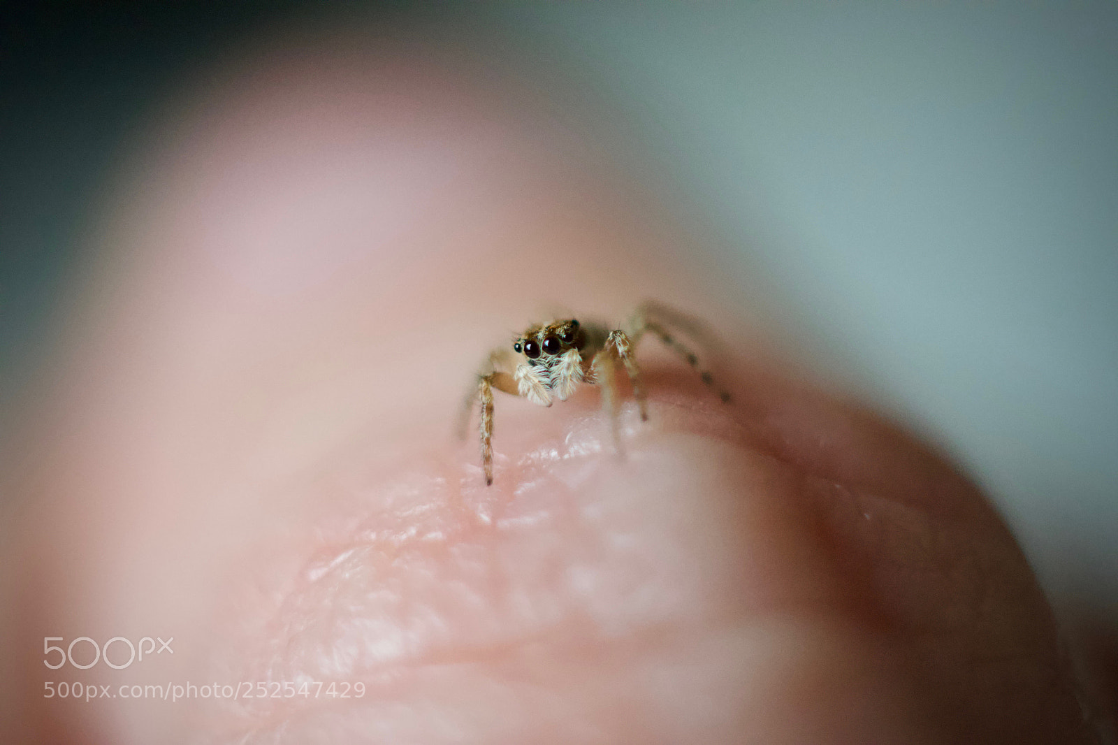 Nikon D3300 sample photo. Finger parade photography