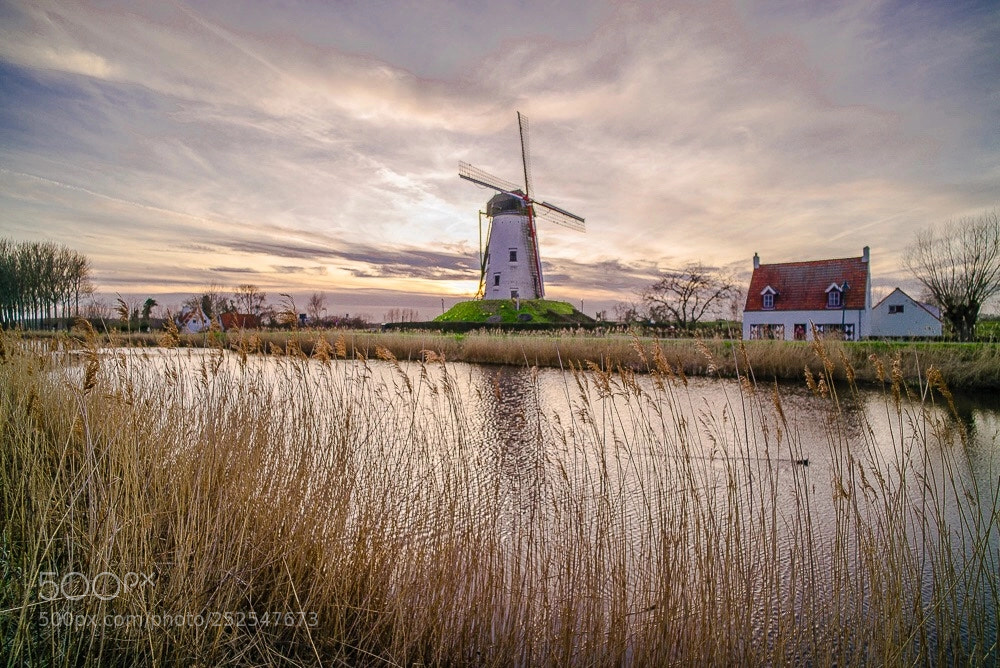 Leica M (Typ 240) sample photo. Damme landscape photography