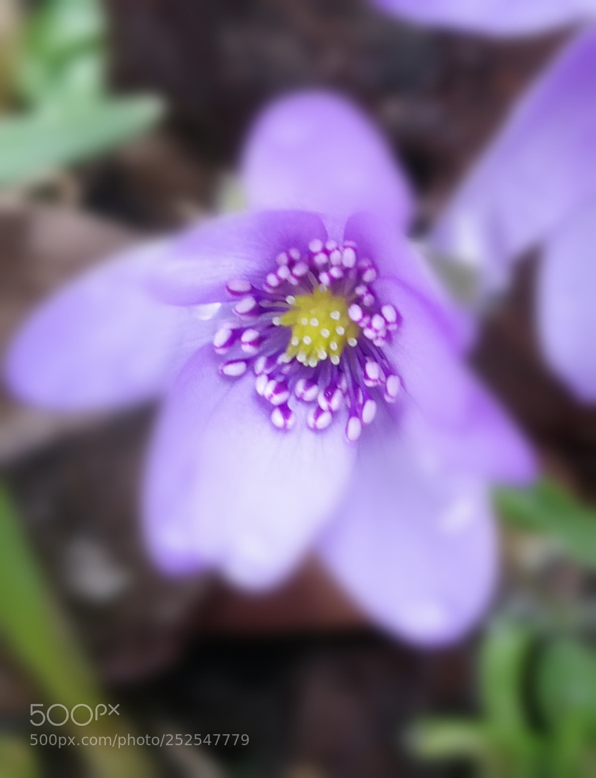 HUAWEI P10 sample photo. Untitled photography