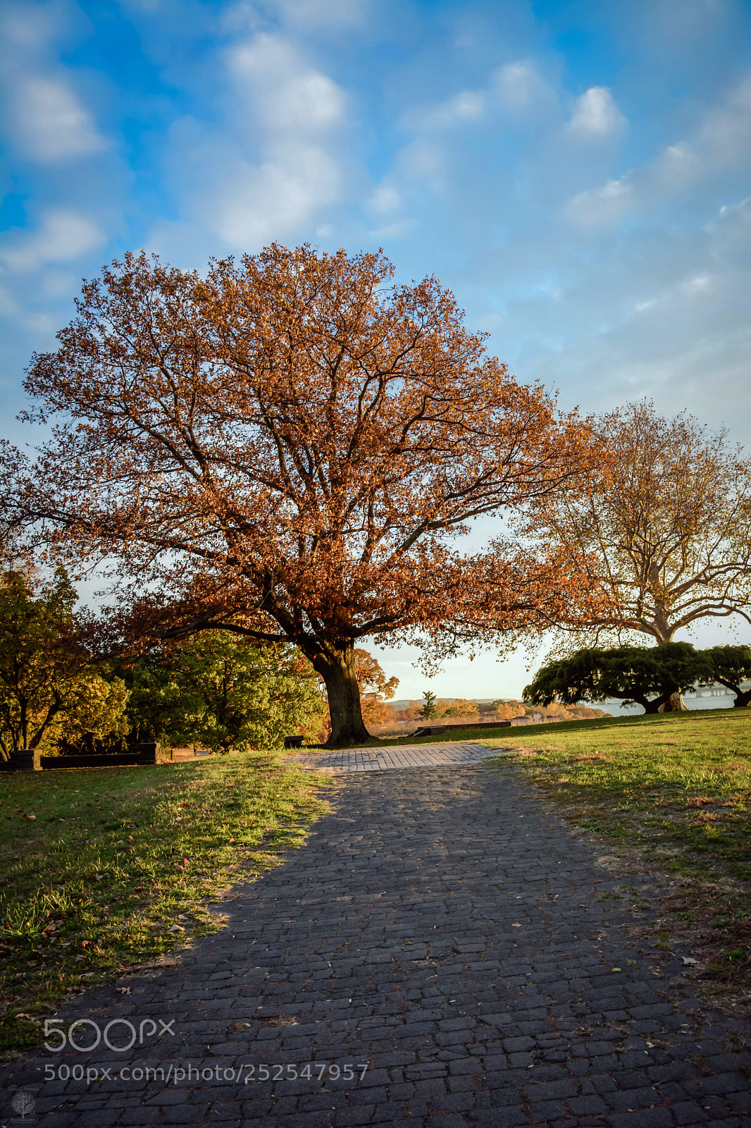 Nikon D7100 sample photo. An evening at rockwood photography