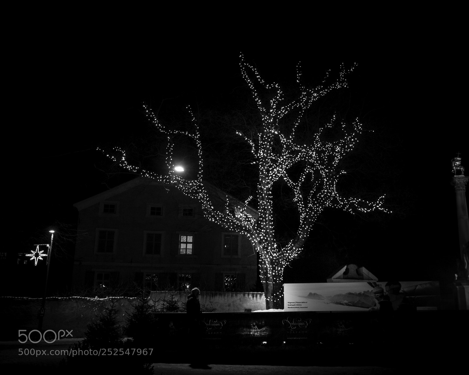 Canon EOS 40D sample photo. Illuminated tree photography