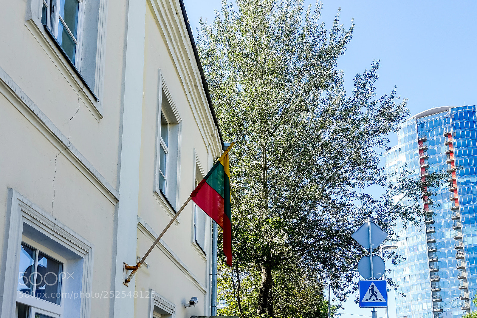 Sony Cyber-shot DSC-RX100 IV sample photo. Flag of lithuanian in photography