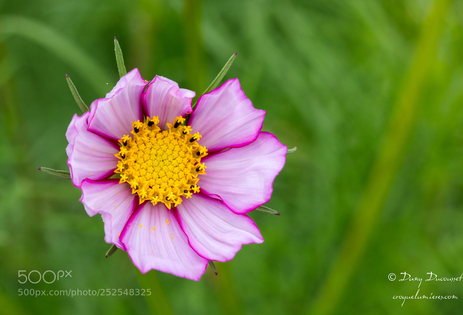 Canon EOS 5DS R sample photo. Vaisseau cosmique photography