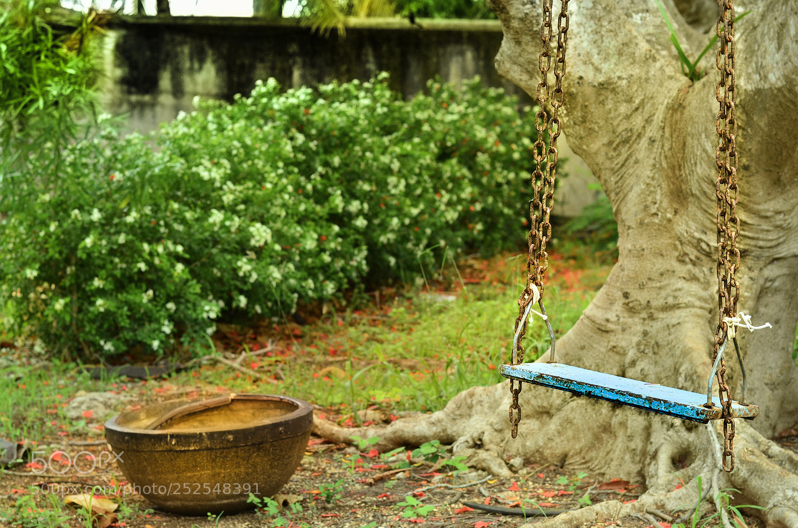 Nikon D5100 sample photo. Childhood photography