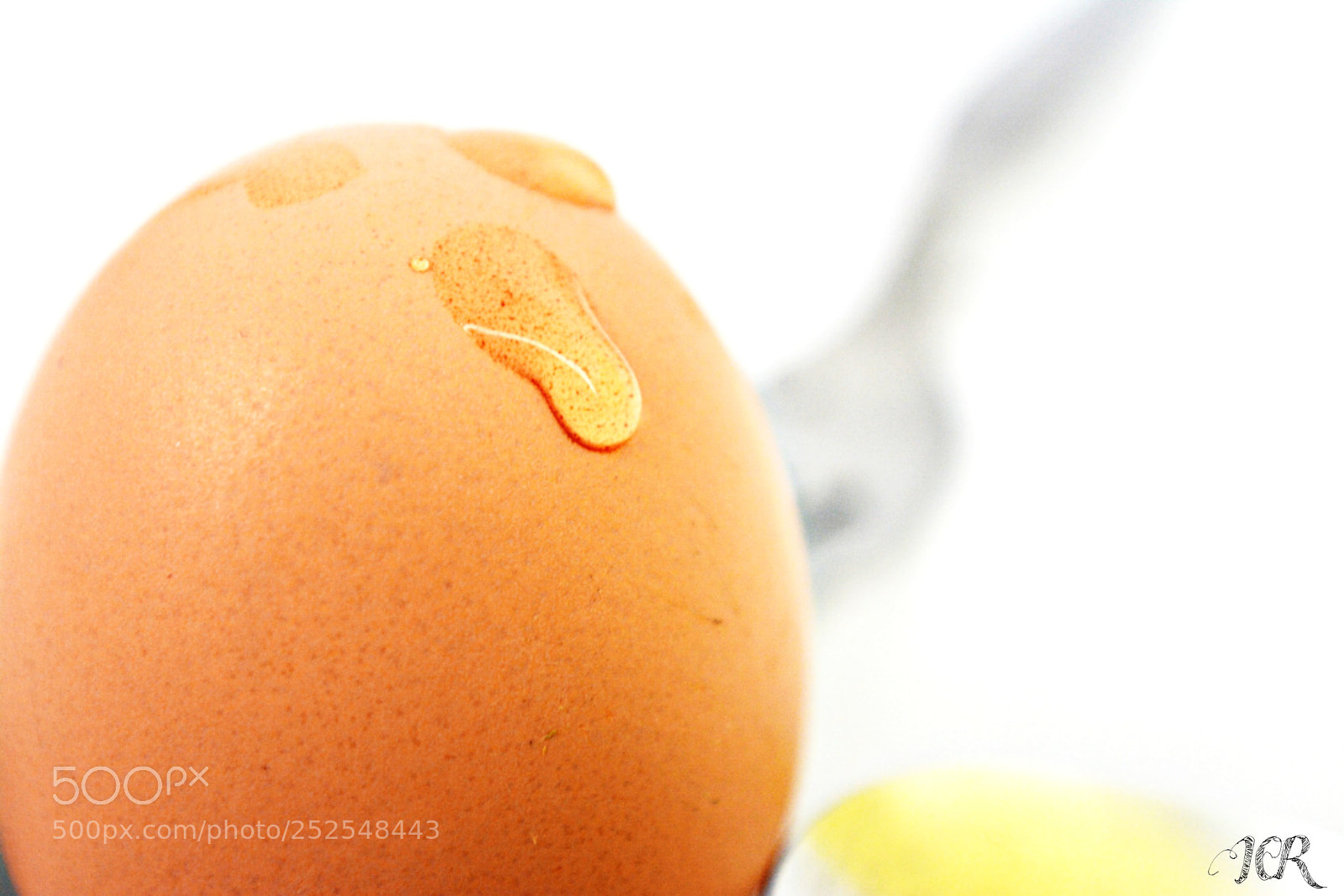 Nikon D5200 sample photo. Huevo photography