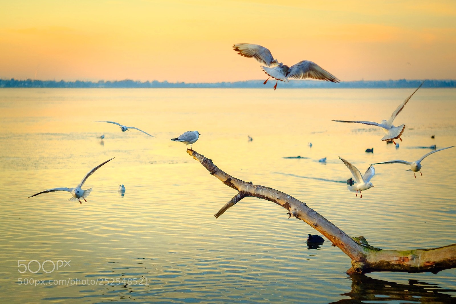 Fujifilm X-T10 sample photo. Lake scene photography