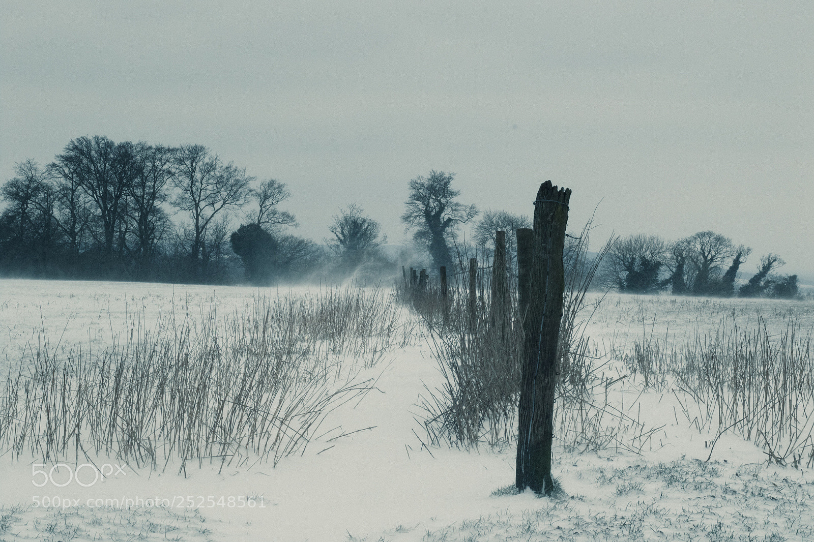 Canon EOS 7D Mark II sample photo. Winters grip photography
