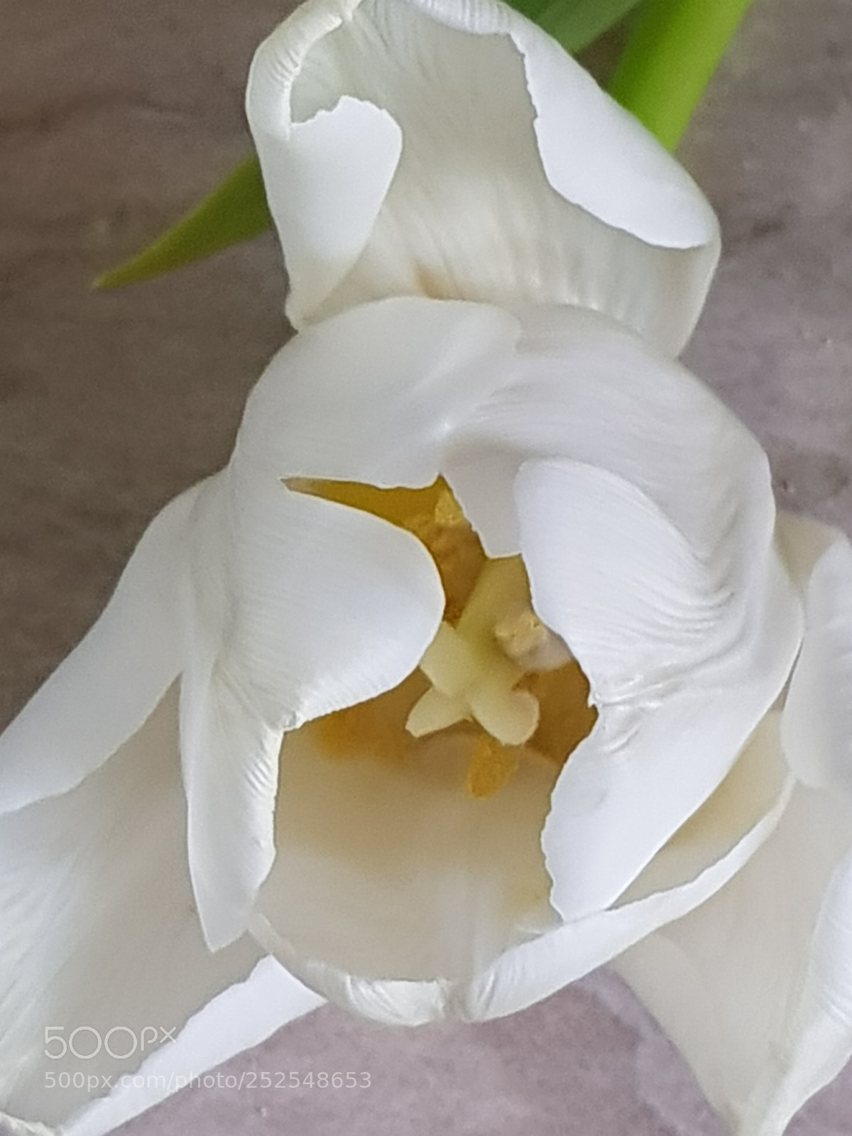 Samsung Galaxy S8 sample photo. Untitled photography