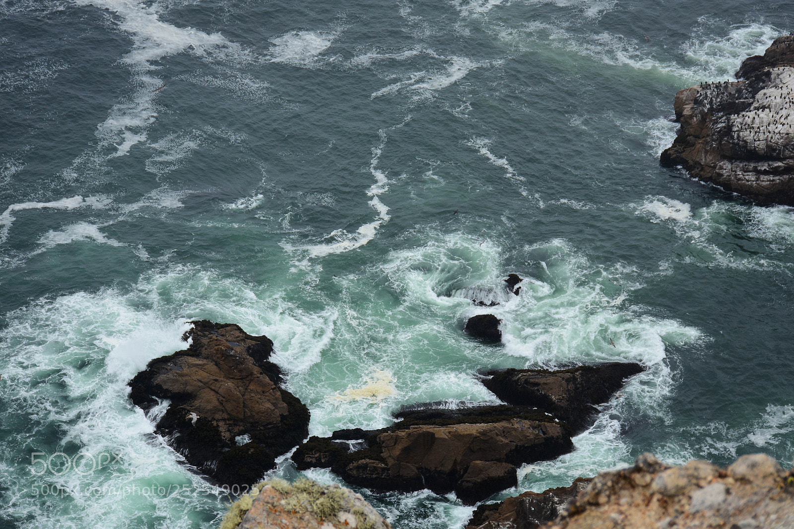 Nikon D7100 sample photo. Point reyes light station photography