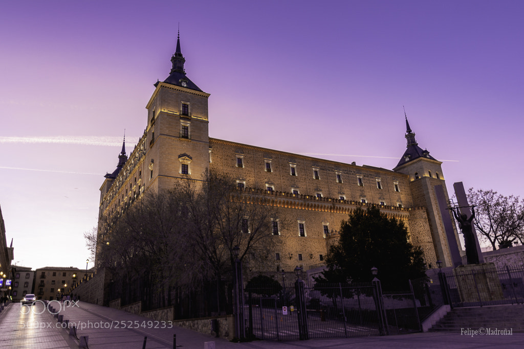 Nikon D5200 sample photo. El alc zar de photography