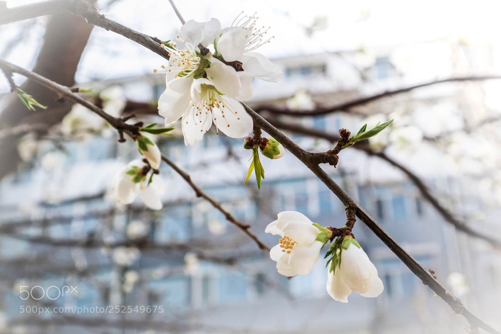 Canon EOS M3 sample photo. Img photography