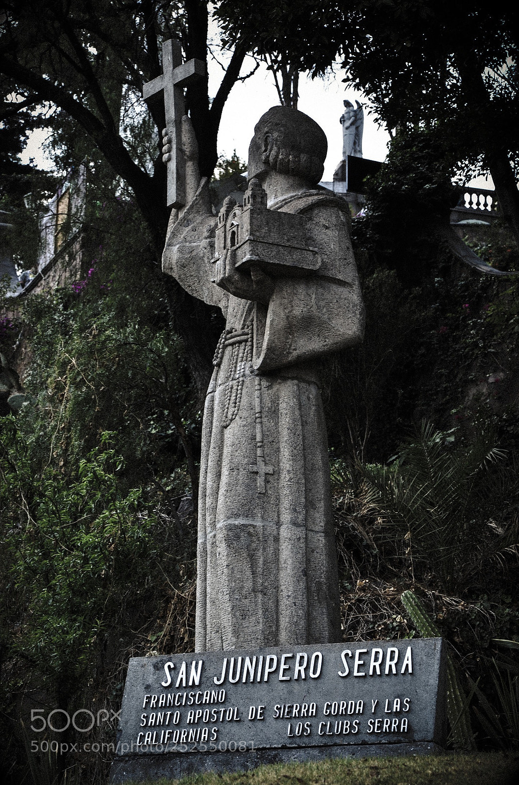 Nikon D7000 sample photo. Mission man photography