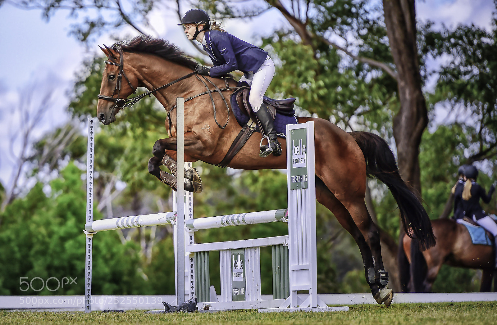 Nikon D4S sample photo. Show jumping championships photography
