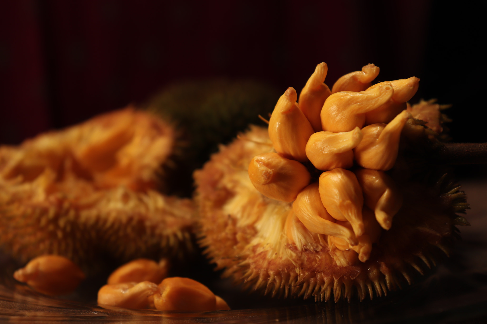 Canon EOS 77D (EOS 9000D / EOS 770D) sample photo. Wild jack fruit photography