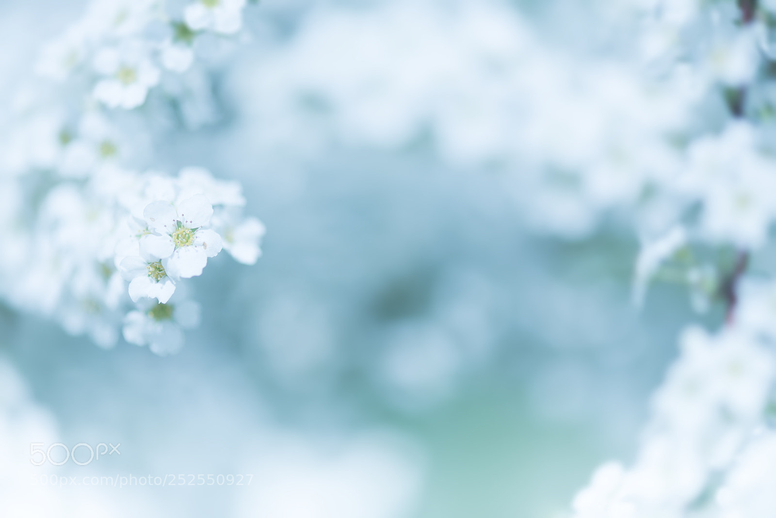 Nikon D800 sample photo. Daydream photography