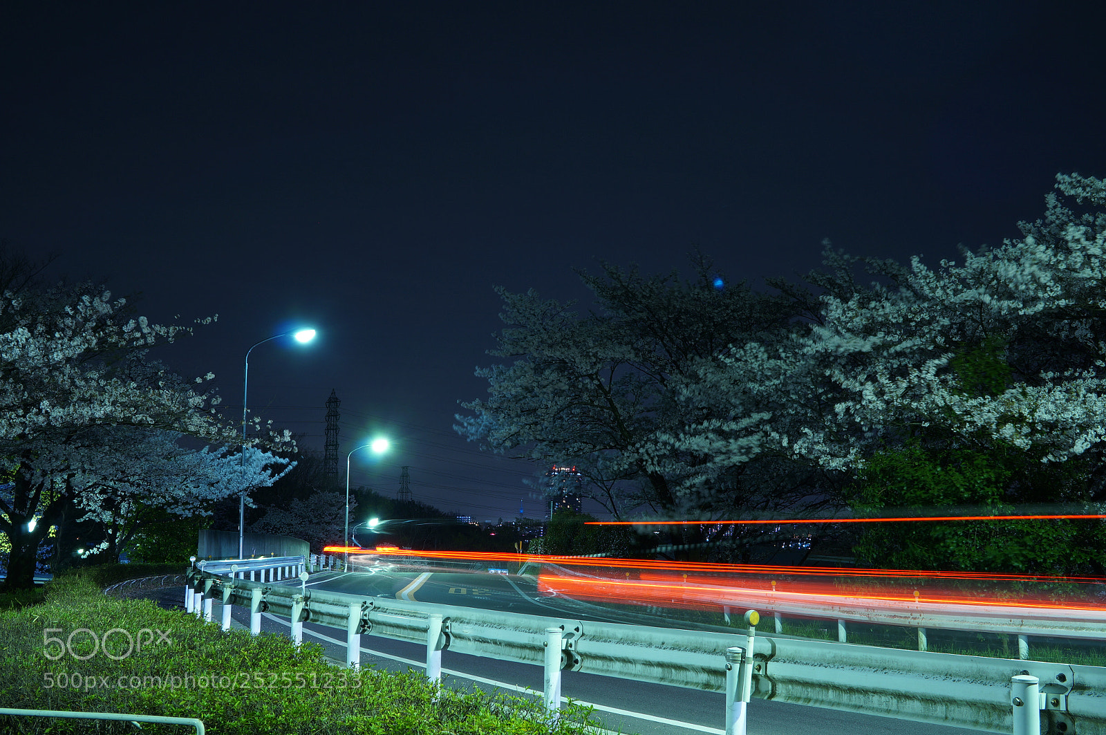 Sony Alpha NEX-5R sample photo. Trace photography