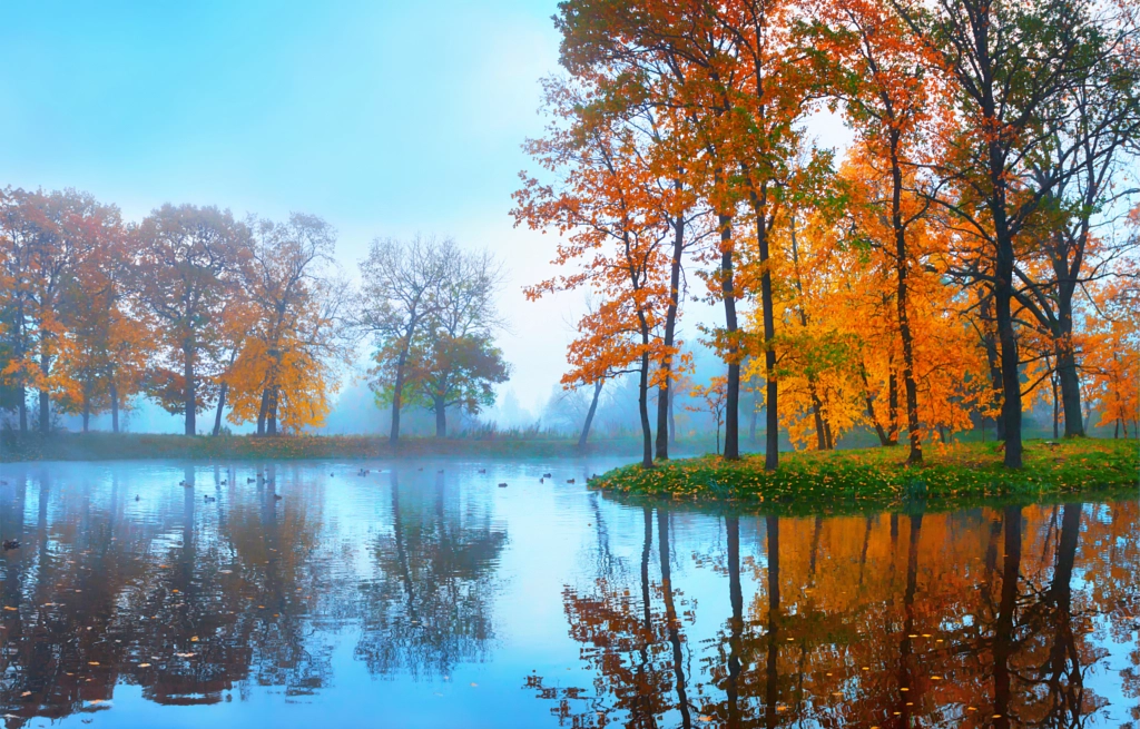 nature, landscape, autumn, morning, fog, water by ilia advolotkin on 500px.com