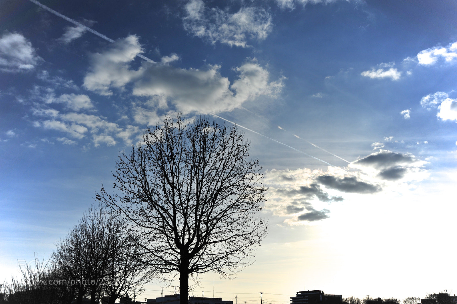 Nikon D700 sample photo. Shadow photography