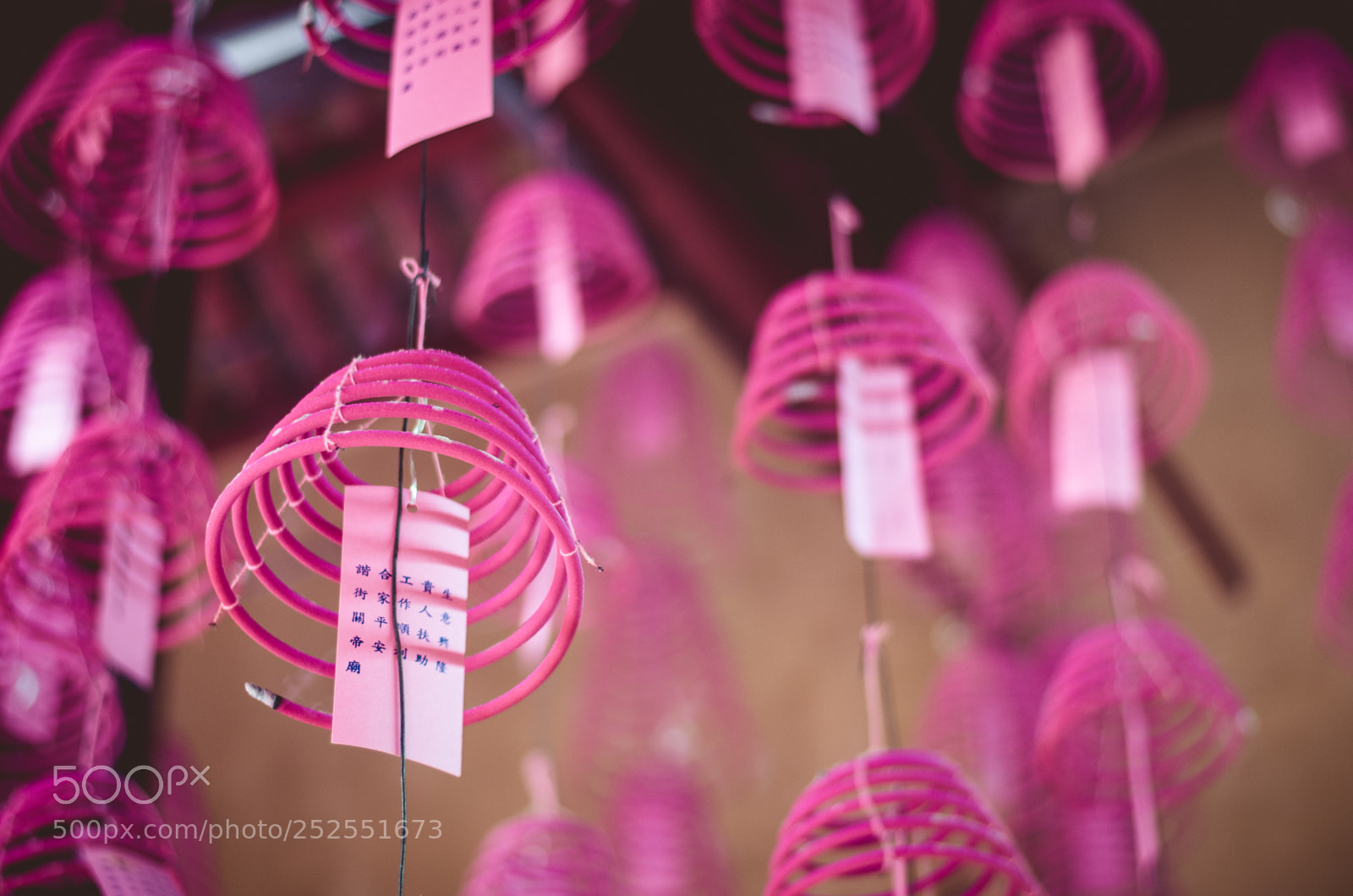 Nikon D5100 sample photo. Wishes photography