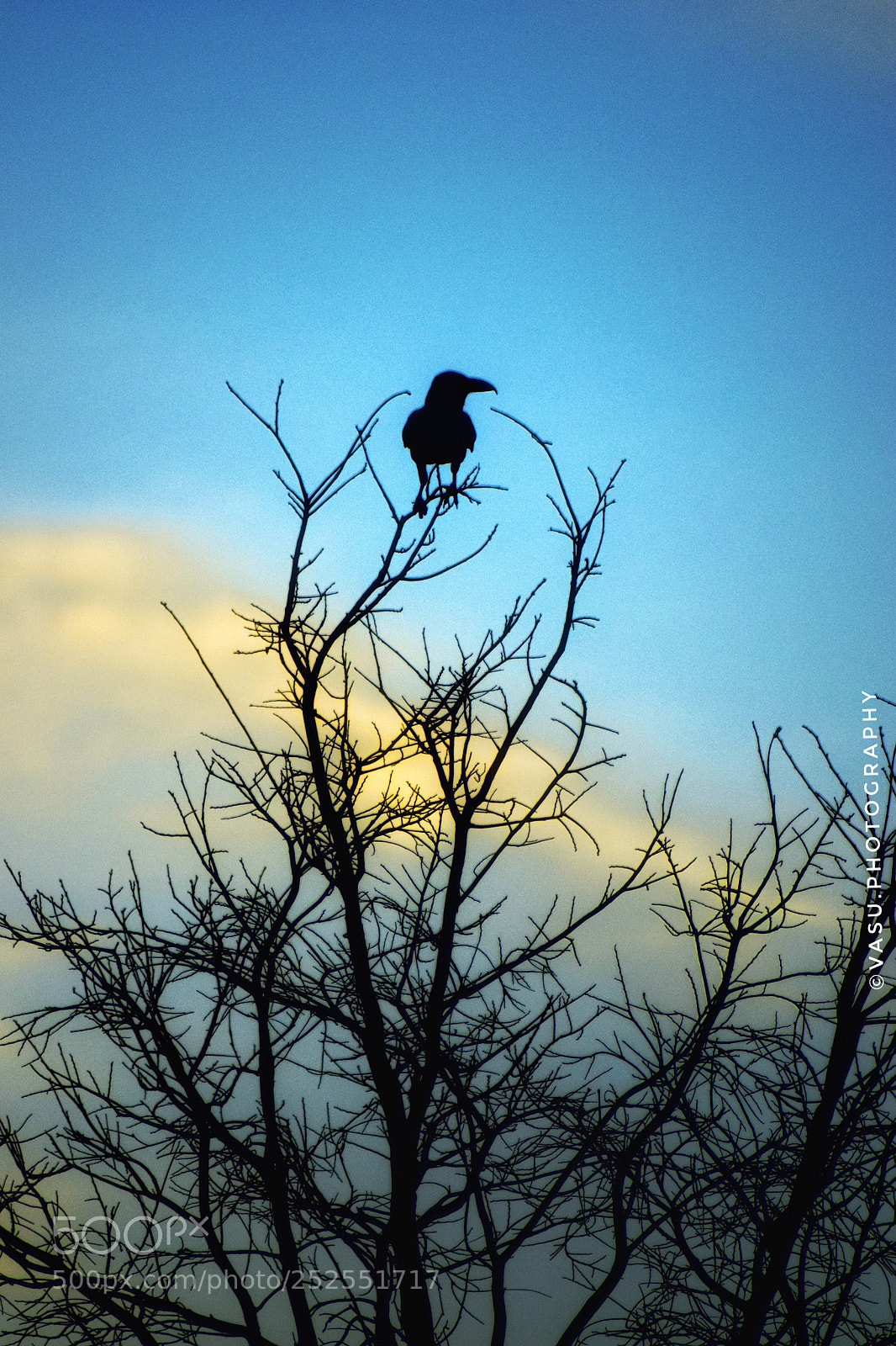 Nikon D3300 sample photo. Living on the top photography