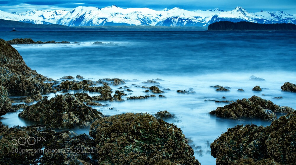Nikon D850 sample photo. Frosted fiord photography