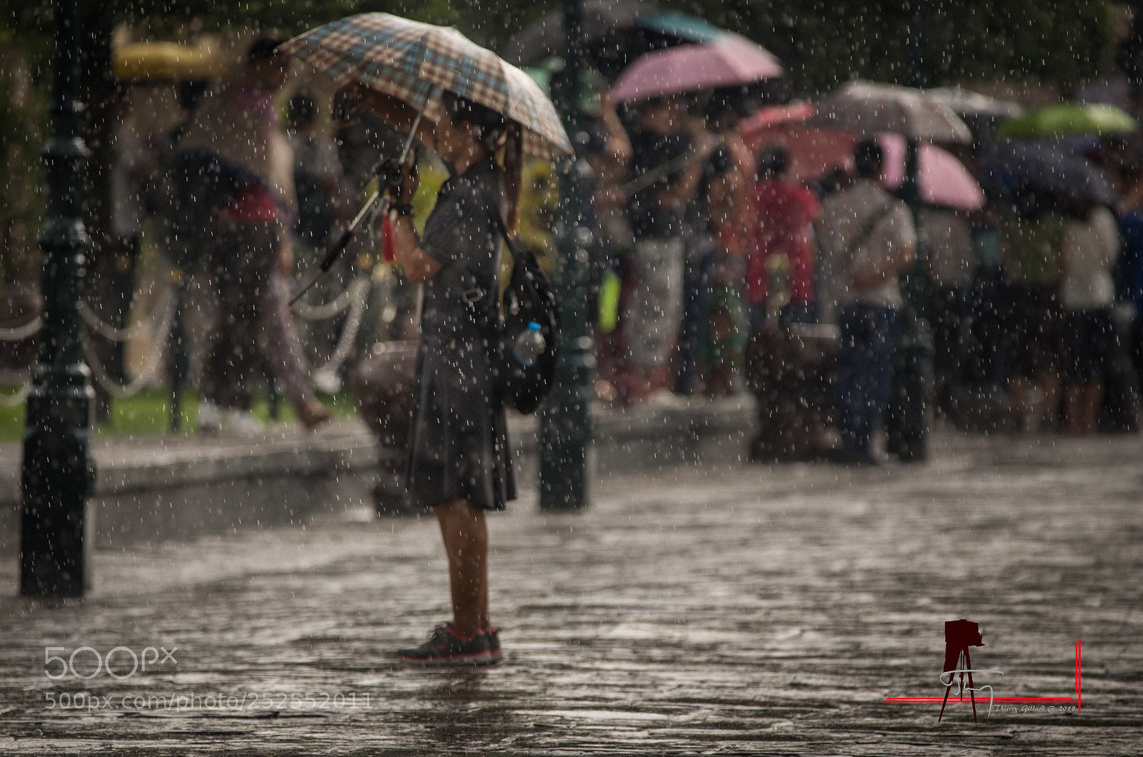 Pentax K-5 IIs sample photo. Standing in the rain. photography