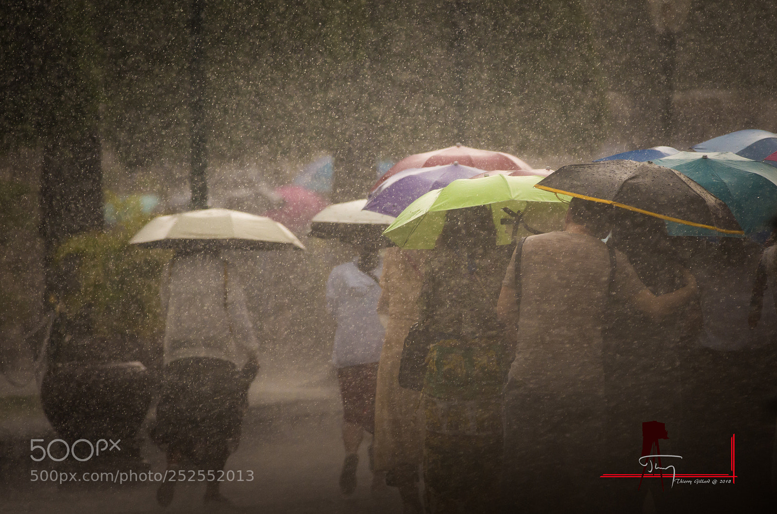 Pentax K-5 IIs sample photo. Soaked. photography
