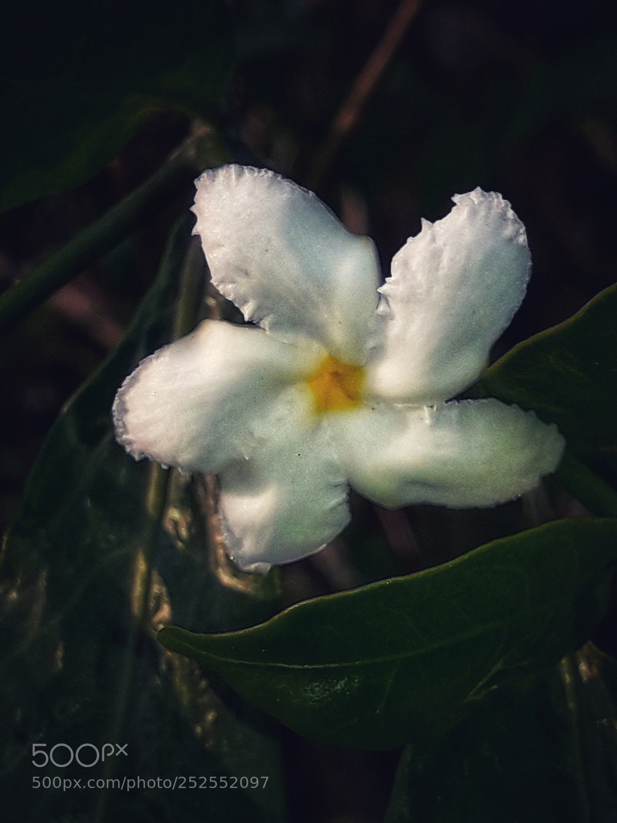 Samsung Galaxy J7 Neo sample photo. Life photography