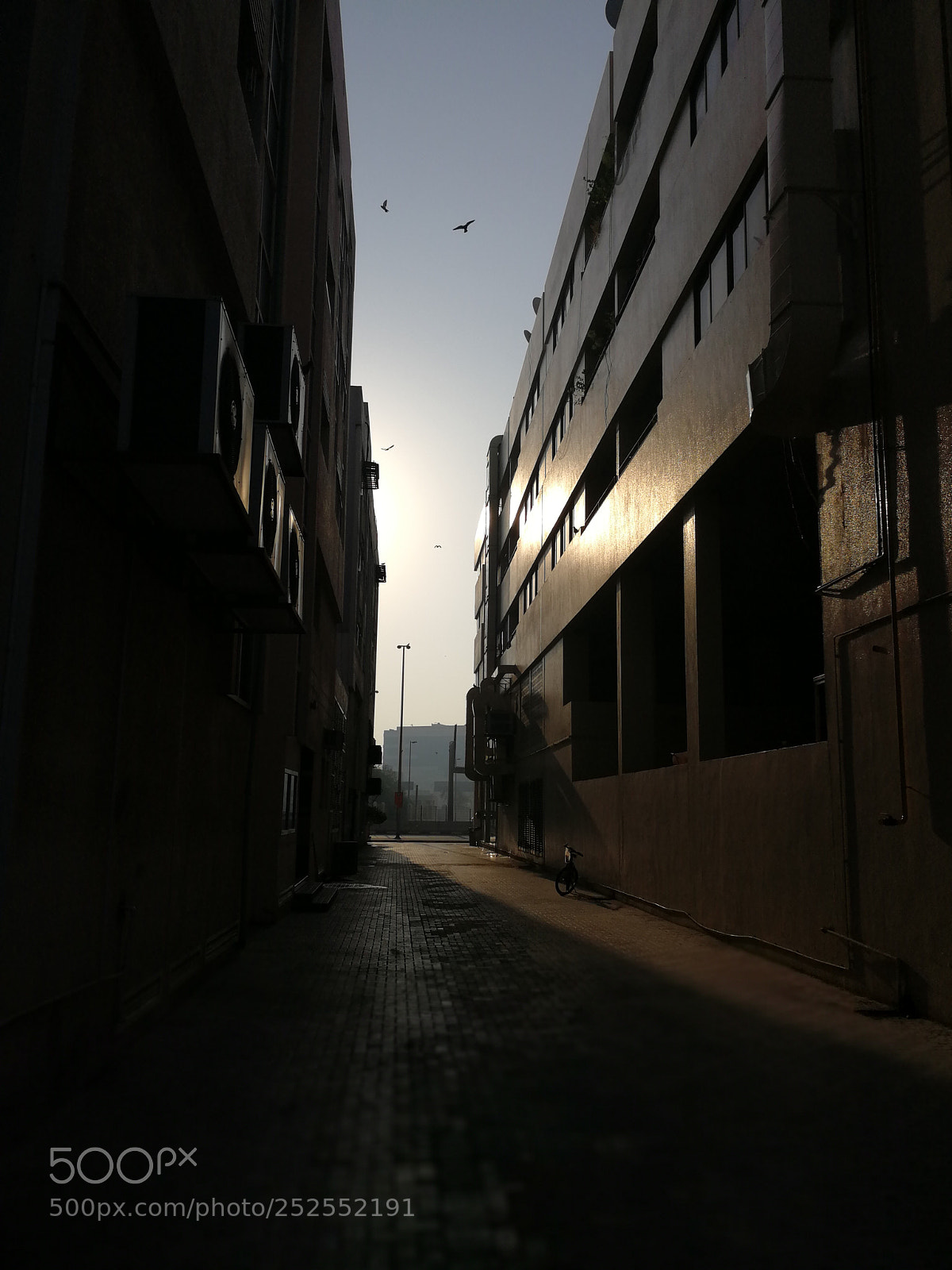 HUAWEI P10 sample photo. A morning view photography