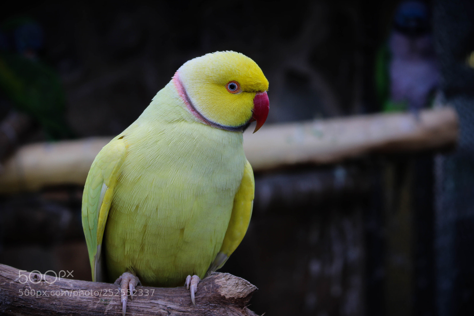Canon EOS 750D (EOS Rebel T6i / EOS Kiss X8i) sample photo. Posture photography