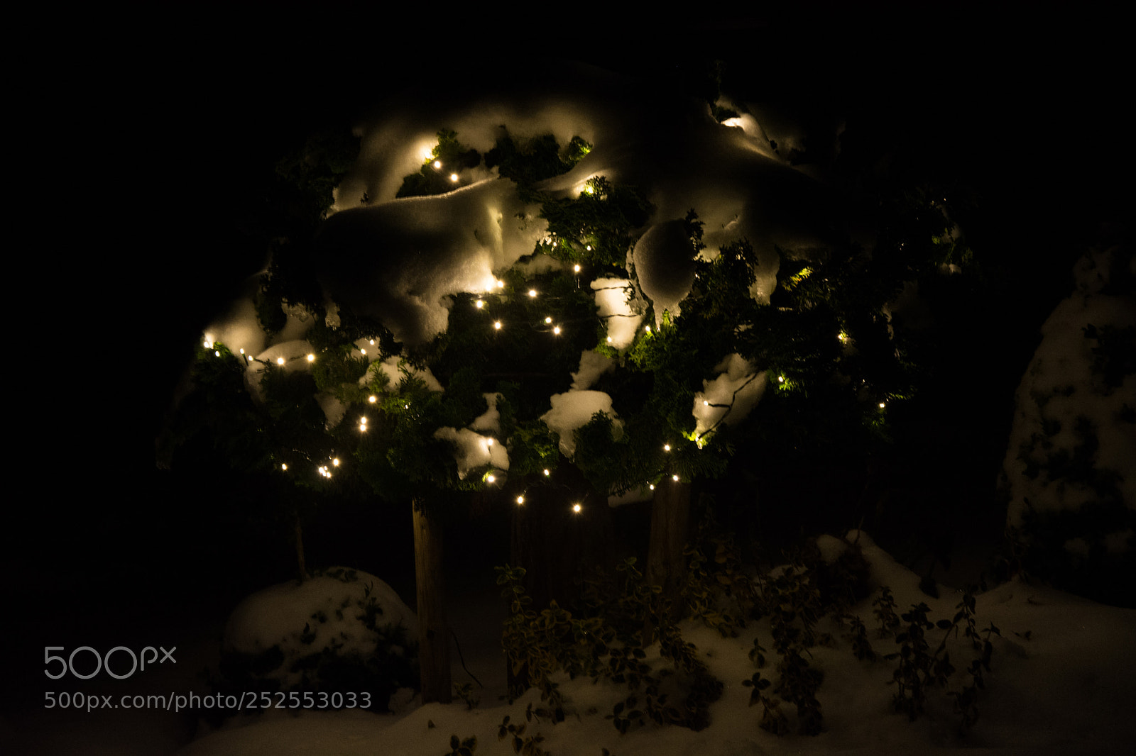 Nikon D5200 sample photo. Fairy lights and a photography