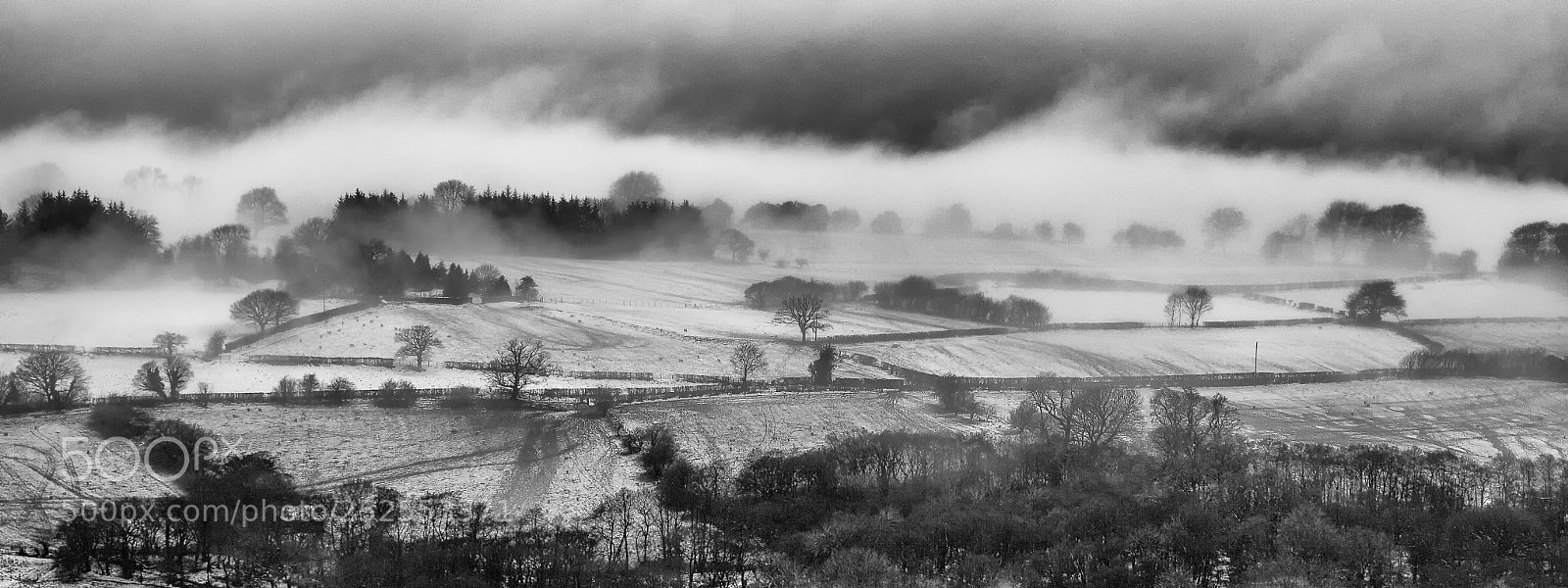 Canon EOS 5D Mark II sample photo. Wild misty morning photography