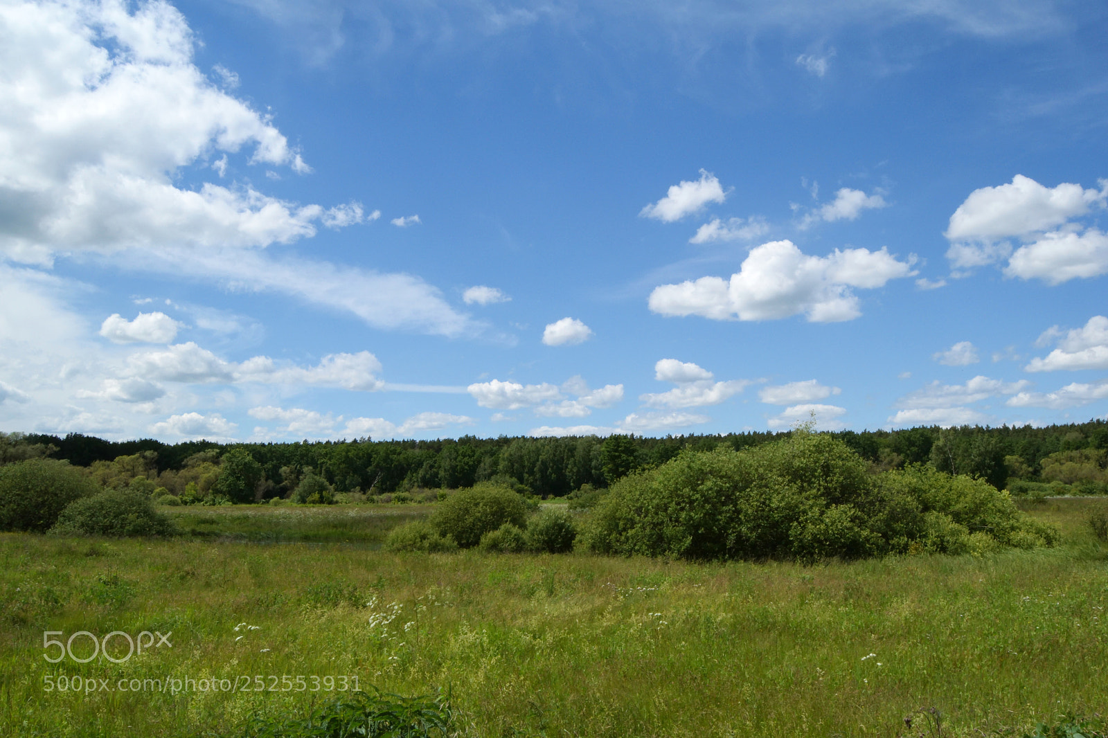 Nikon D3300 sample photo. One summer day photography